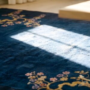 Luxurious Soft Wool Pile Antique Rich Blue Color Chinese Deco Rug (SKU 24121) - in-room detail