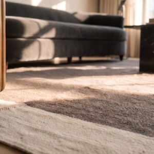 Minimalist Antique Native American Navajo Rio Grande Rug (SKU 24485) - in-room detail