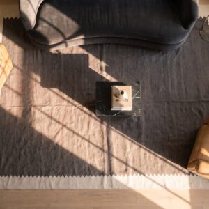 Minimalist Antique Native American Navajo Rio Grande Rug (SKU 24485) - styled overhead view