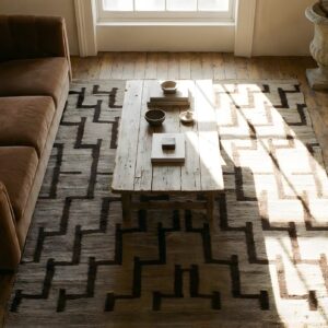 Antique Navajo American Geometric, Medallion Flat Weave Rug (SKU 23797) - styled overhead view