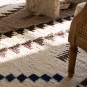 Antique Navajo Native American Medallion White and Black Color Flatweave Rug (SKU 23616) - in-room detail