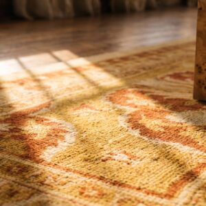 Pair Of Antique Indian Amritsar Extra Long Hallway Runner Rugs (SKU 19666) - in-room detail