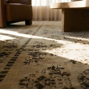 Antique Peking Chinese Allover Geometric Ivory 1880s Rug (SKU 23727) - in-room detail