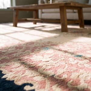 Antique Peking Chinese Beige 1920s Rug (SKU 23613) - in-room detail