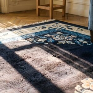 Antique Peking Chinese Dark 1890s Rug (SKU 24071) - in-room detail