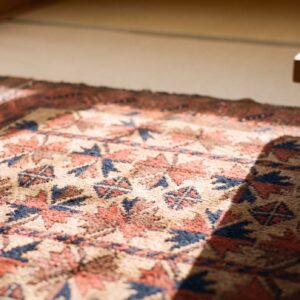 Antique Persian Allover Geometric Wool Hand Knotted Pile 1890s Rug (SKU 21804) - in-room detail