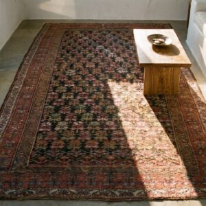 Antique Persian Kurdish Carpet 5'×10'6" Hand-Knotted Wool, Early 20th Century (SKU 18974) - styled overhead view