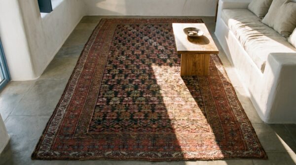 Antique persian kurdish carpet 5'×10'6" hand-knotted wool, early 20th century 2 Antique persian kurdish carpet 5'×10'6" hand-knotted wool, early 20th century (sku 18974) - styled overhead view