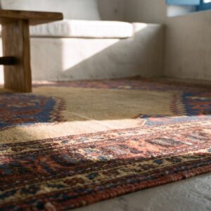 Rare Small Size Antique Tribal Geometric Persian Bakshaish Area Rug (SKU 24511) - in-room detail