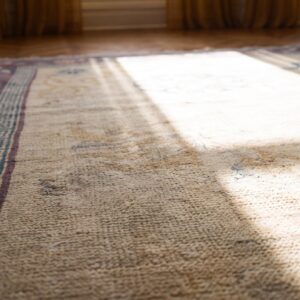 Antique Room Size Chinese Influenced Indian Amritsar Rug (SKU 25265) - in-room detail