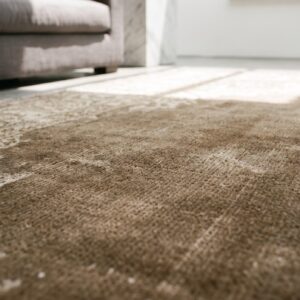 Room Size Neutral Brown Earth Tone Color Antique Agra Area Rug (SKU 18283) - in-room detail