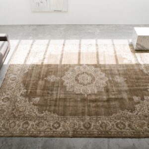 Room Size Neutral Brown Earth Tone Color Antique Agra Area Rug (SKU 18283) - styled overhead view