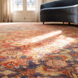 Rustic Coral Tribal Geometric Herati Pattern Antique Indian Amritsar Carpet (SKU 19696) - in-room detail
