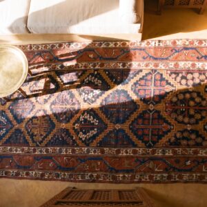 Rustic Tribal Shrub Pattern Antique Persian Afshar Hallway Runner Rug (SKU 21969) - styled overhead view