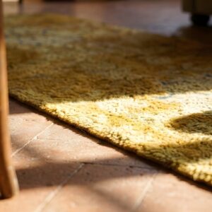 Small Rare Collectible Antique Chinese Mid 17th Century Peking Rug (SKU 25231) - in-room detail