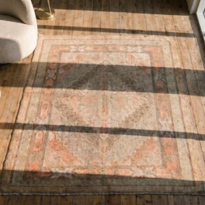Antique Soft Light Faded Color Geometric Medallion Hand Knotted Pile Khotan Rug (SKU 20043) - styled overhead view