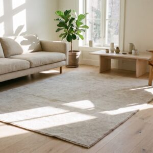 Soft Light Faded Gray Color Antique Cotton Pile Indian Agra Rug (SKU 21358) - room view