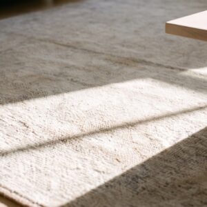 Soft Light Faded Gray Color Antique Cotton Pile Indian Agra Rug (SKU 21358) - in-room detail