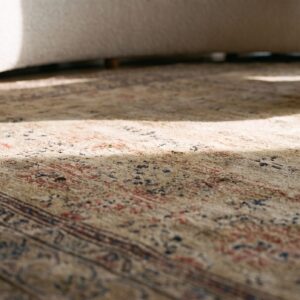 Antique Tabriz Persian Ivory 1920s Rug (SKU 21568) - in-room detail