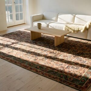 Tribal Herati Pattern Antique Long and Narrow Persian Bakshaish Wide Gallery Rug (SKU 24409) - styled overhead view