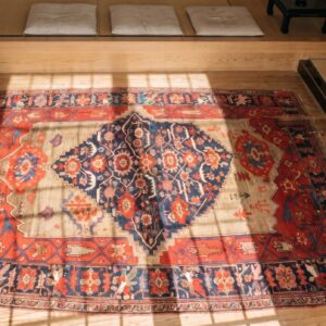 Antique Tribal Late 19th Century Persian Bidjar Sampler Rug (SKU 21624) - styled overhead view