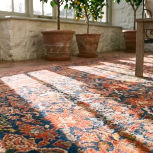Antique Turkish Smyrna Oushak Carpet 15'6"×19'10" Navy & Red, Early 19th Century, Circa 1820 (SKU 23402) - in-room detail