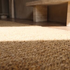 Warm Cream Color Antique American Flat Weave Rag Long Hallway Runner Rug (SKU 20587) - in-room detail