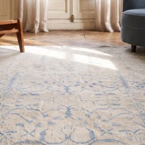 Washed Out Light Blue and While Antique Indian Agra Cotton Rug (SKU 21356) - in-room detail
