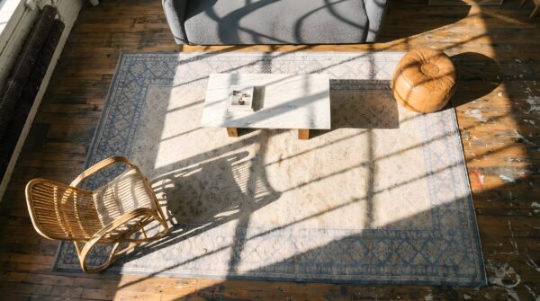 White and blur color antique indian allover geometric cotton agra gallery rug 2 White and blur color antique indian allover geometric cotton agra gallery rug (sku 22083) - styled overhead view