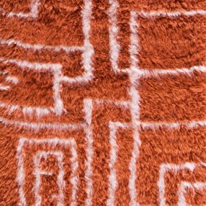 Contemporary American hooked rug, design 12001C1