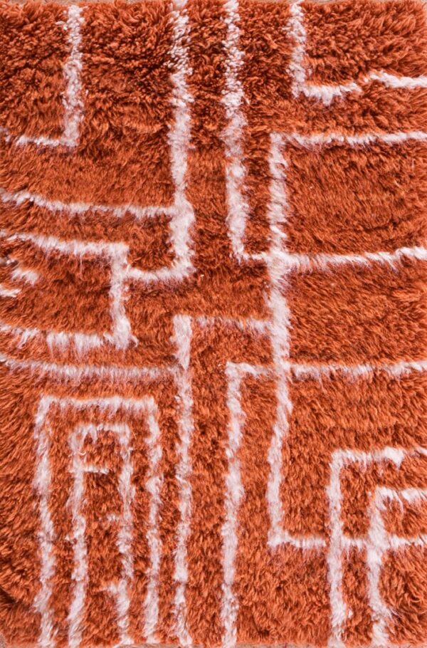 Contemporary american hooked rug, design 12001c1