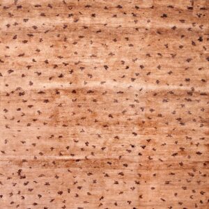Contemporary American hooked rug, design 14025