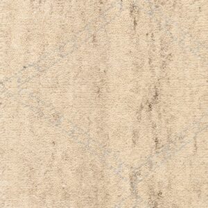 Contemporary American hooked rug, design 6119C