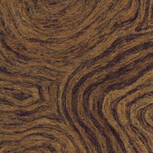 Contemporary American hooked rug, design 6136B