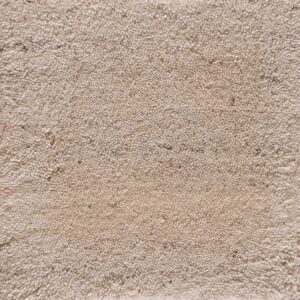 Contemporary American hooked rug, design 6150B