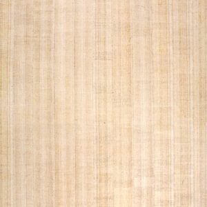 Contemporary American hooked rug, design 7010