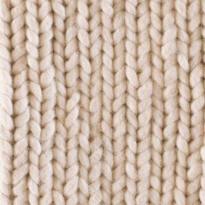 Contemporary American hooked rug, design B_14B