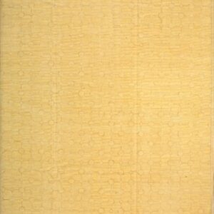 Contemporary American hooked rug, design N2019G