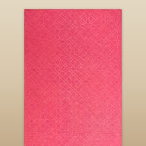 Contemporary American hooked rug, design N2022D-E
