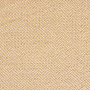 Contemporary American hooked rug, design PCM_005B