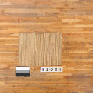 Contemporary American hooked rug, design R3001