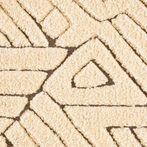 Contemporary American hooked rug, design TL_18A