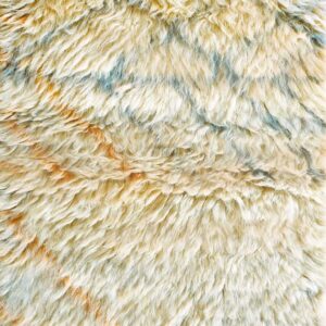 Contemporary American hooked rug, design TL_2A