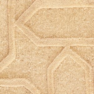 Contemporary American hooked rug, design TL_38A