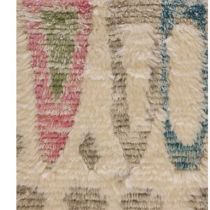 Contemporary American hooked rug, design TL_48